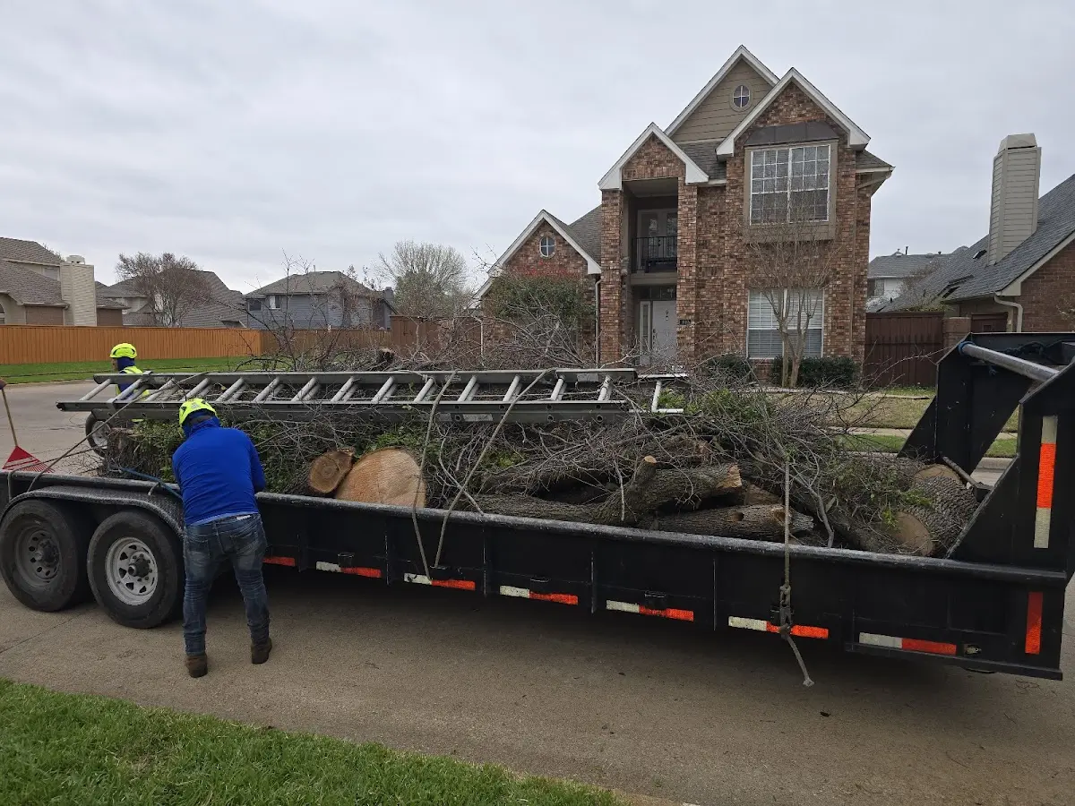 Expert Tree Pest Control with proper safety equipment in Walston